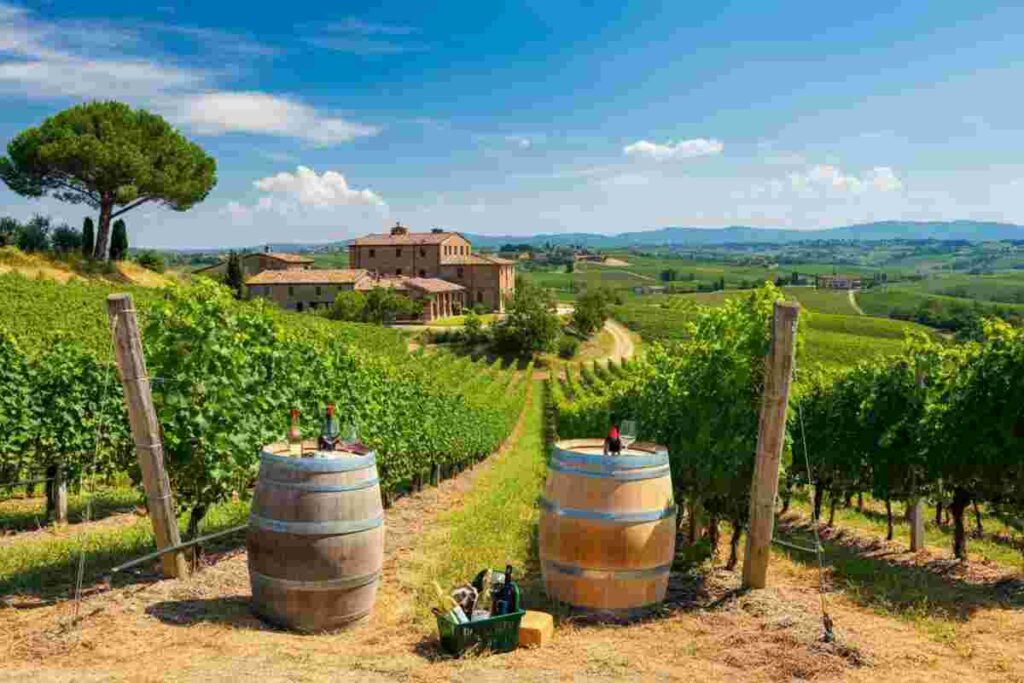 L'enoturismo spinge il consumo di vino: il Prosecco in testa alla classifica