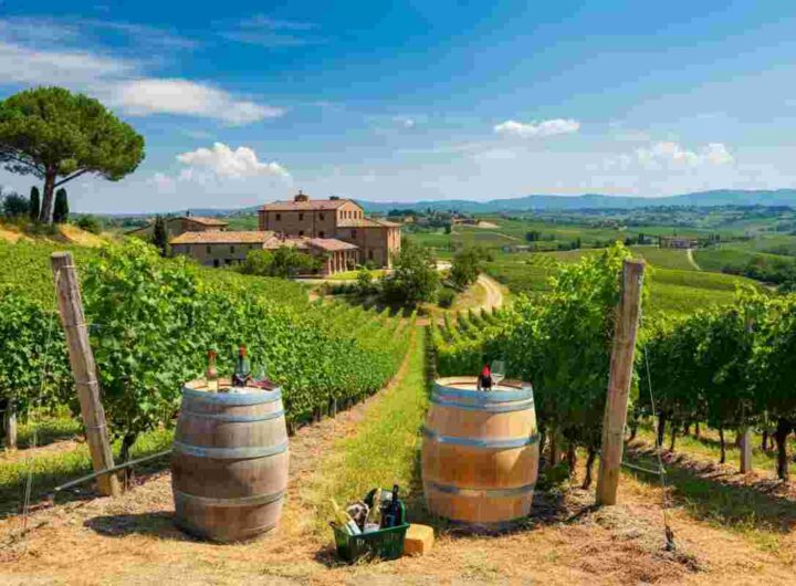 L'enoturismo spinge il consumo di vino: il Prosecco in testa alla classifica