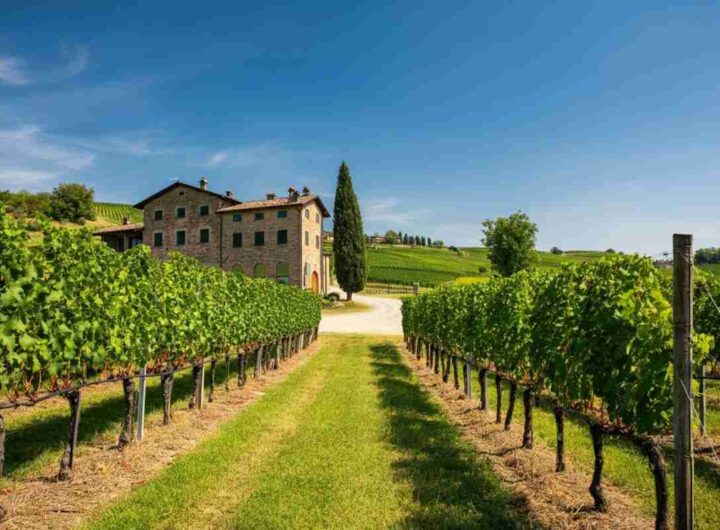 Lombardia presenta il nuovo portale nazionale per gli amanti dell'enoturismo