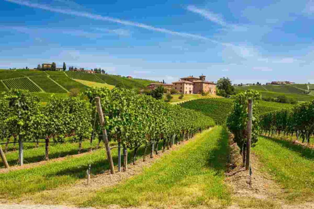 Morando avverte: dazi al 15% mettono in difficoltà i vini popolari, ma non i luxury