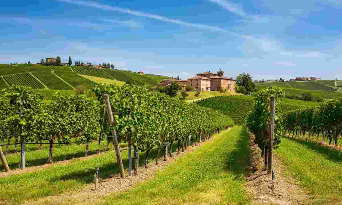 Morando avverte: dazi al 15% mettono in difficoltà i vini popolari, ma non i luxury