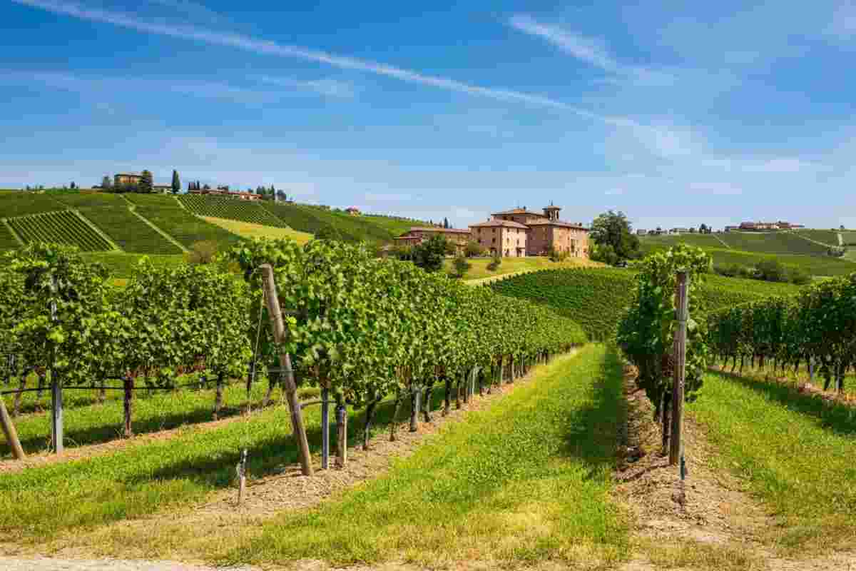 Morando avverte: dazi al 15% mettono in difficoltà i vini popolari, ma non i luxury