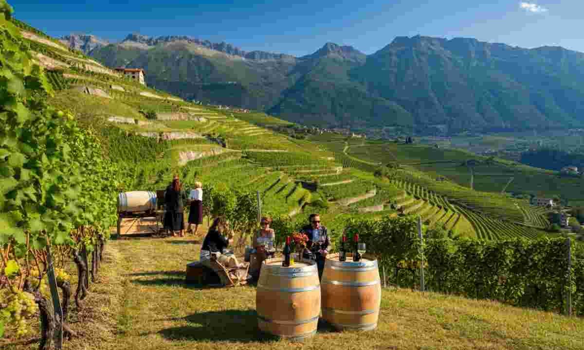 Müller Thurgau 2025: 19 vini premiati svelano l'eccellenza del Concorso Internazionale in Valle di Cembra