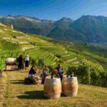 Müller Thurgau 2025: 19 vini premiati svelano l'eccellenza del Concorso Internazionale in Valle di Cembra