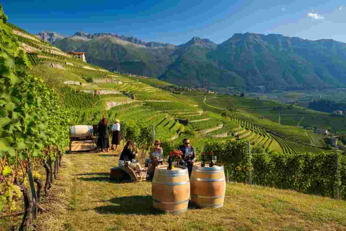 Müller Thurgau 2025: 19 vini premiati svelano l'eccellenza del Concorso Internazionale in Valle di Cembra