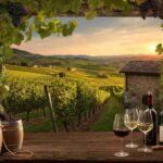 Nizza DOCG: festeggiamenti e un futuro sempre più luminoso