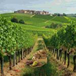 Nuove strategie ecocompatibili per combattere la degenerazione infettiva della vite di Garganega e Glera