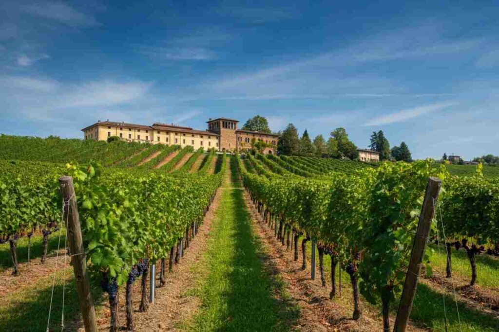OniWines espande il suo impero con l'acquisizione della storica cantina Pico Maccario in Piemonte