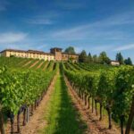 OniWines espande il suo impero con l'acquisizione della storica cantina Pico Maccario in Piemonte