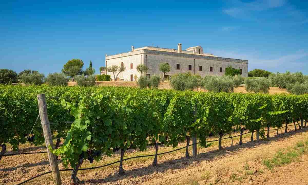 Paololeo e Candido: un investimento che unisce il Salento