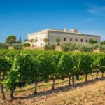Paololeo e Candido: un investimento che unisce il Salento