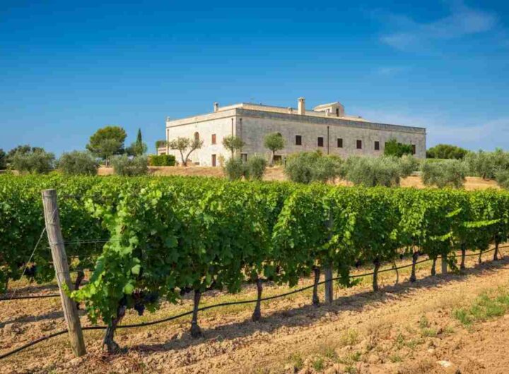 Paololeo e Candido: un investimento che unisce il Salento