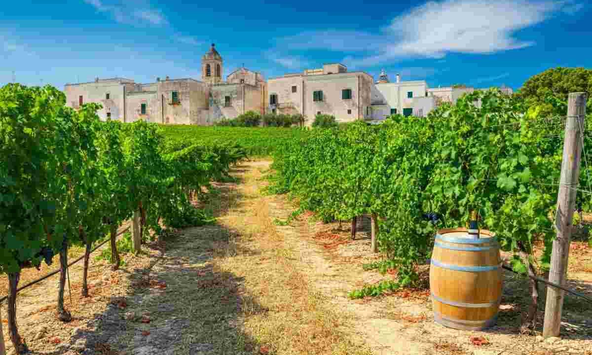 Paololeo e Candido: un'alleanza strategica per il futuro del Salento