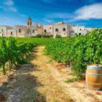 Paololeo e Candido: un'alleanza strategica per il futuro del Salento