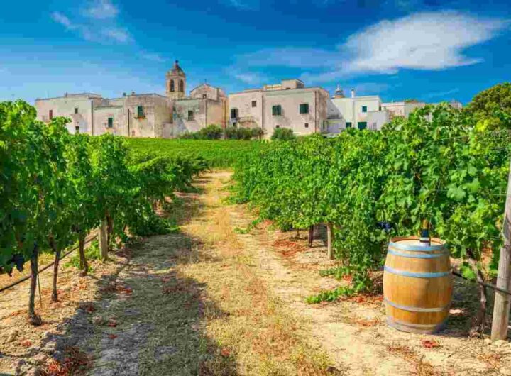 Paololeo e Candido: un'alleanza strategica per il futuro del Salento