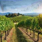 Preoccupazione del Consorzio Vino Chianti per i dazi USA sul vino