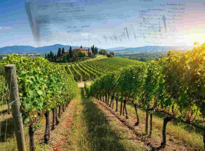 Preoccupazione del Consorzio Vino Chianti per i dazi USA sul vino