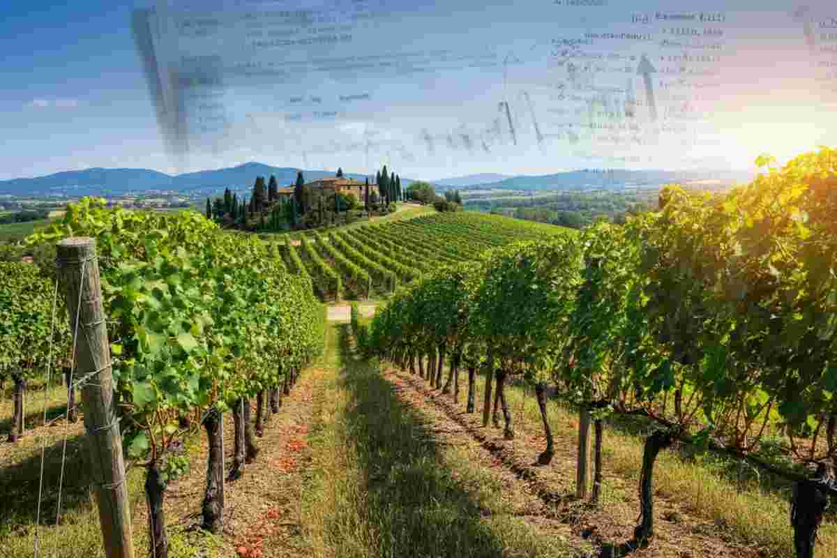 Preoccupazione del Consorzio Vino Chianti per i dazi USA sul vino