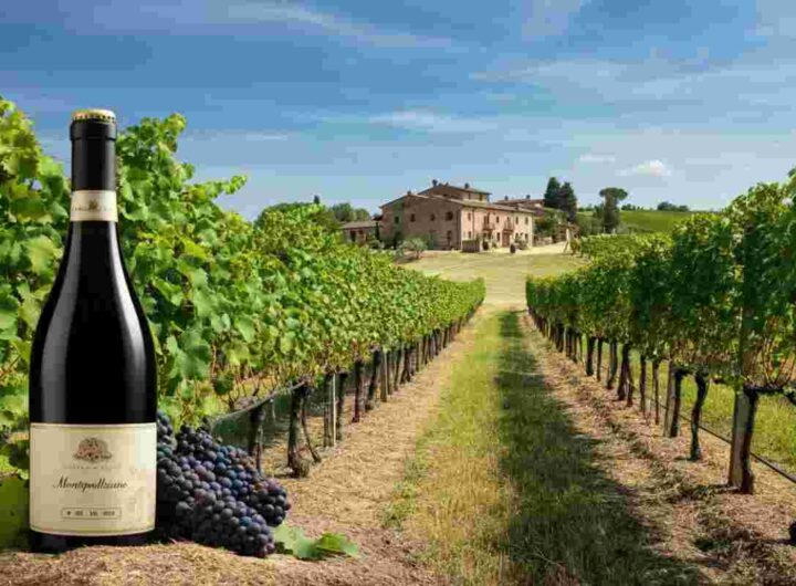 Rilancio del settore vino: opportunità tra diplomazia, PAC e risorse UE