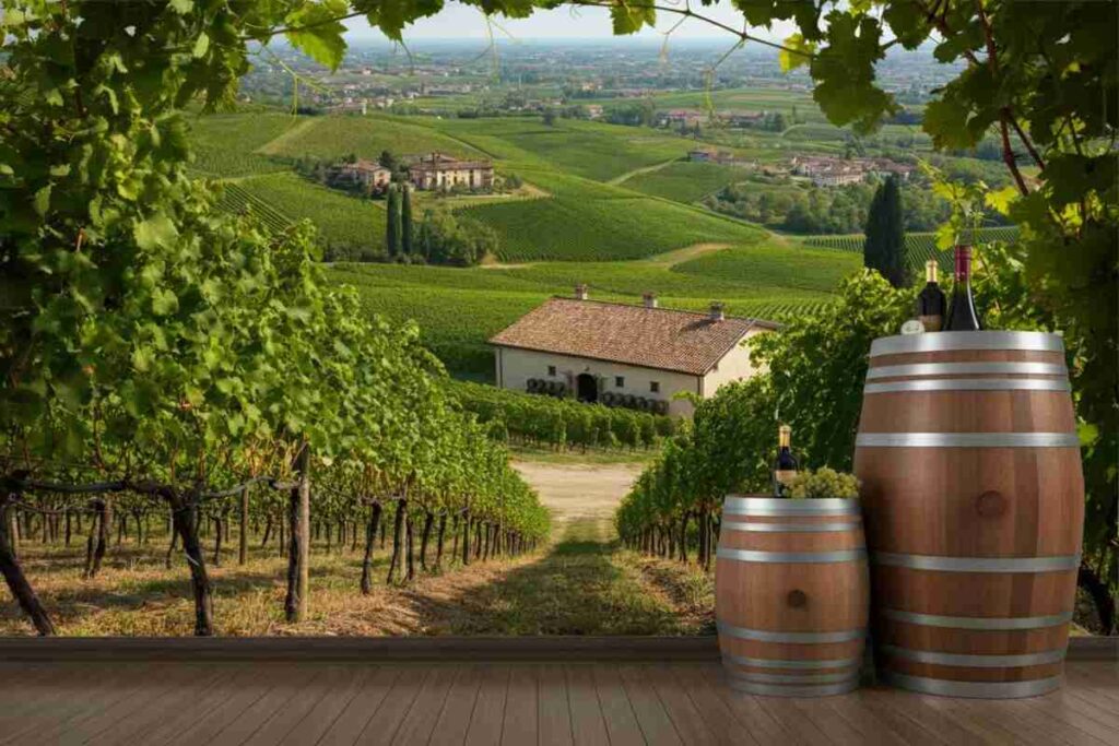 Rivoluzione al Consorzio Friuli Colli Orientali e Ramandolo: ecco il nuovo Cda