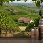 Rivoluzione al Consorzio Friuli Colli Orientali e Ramandolo: ecco il nuovo Cda