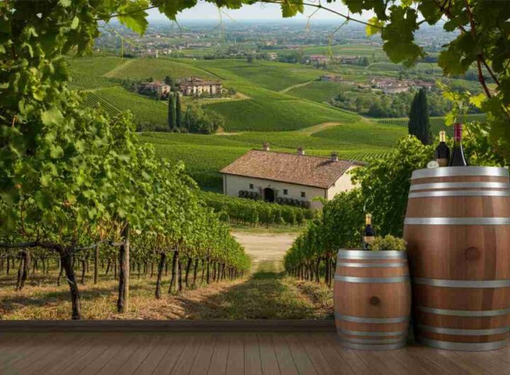 Rivoluzione al Consorzio Friuli Colli Orientali e Ramandolo: ecco il nuovo Cda
