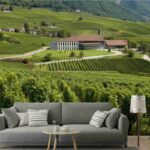 Scoprendo il Weingut Davaz: un tesoro vinicolo nel cuore del Graubünden