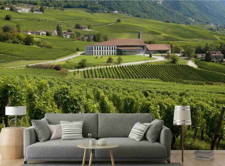 Scoprendo il Weingut Davaz: un tesoro vinicolo nel cuore del Graubünden