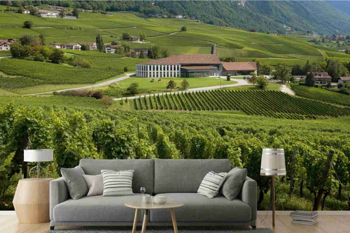 Scoprendo il Weingut Davaz: un tesoro vinicolo nel cuore del Graubünden