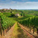 Scopri Soave Terroir attraverso un affascinante video