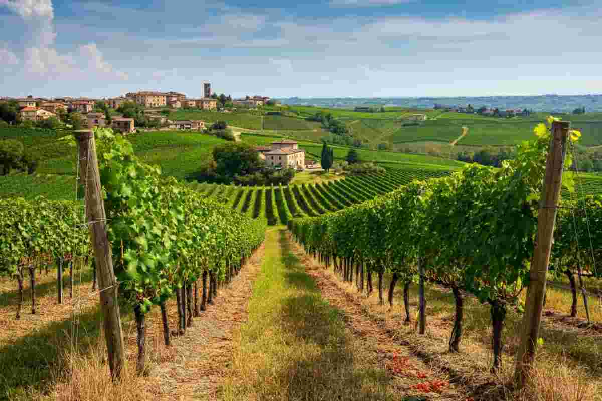 Scopri Soave Terroir attraverso un affascinante video