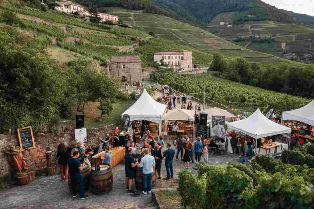 Scopri ViVa 2025: il festival innovativo dei vini della Valtellina