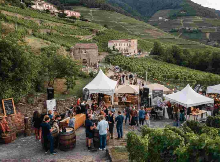 Scopri ViVa 2025: il festival innovativo dei vini della Valtellina
