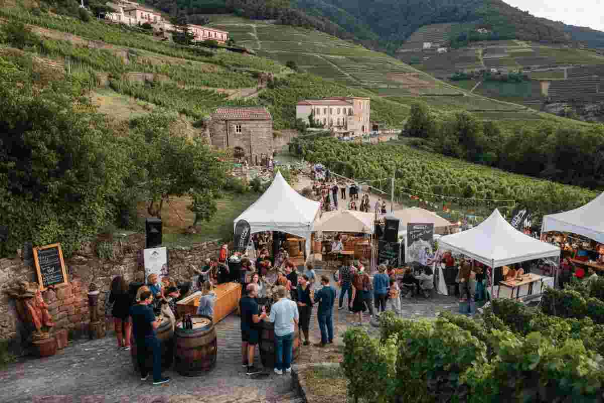 Scopri ViVa 2025: il festival innovativo dei vini della Valtellina
