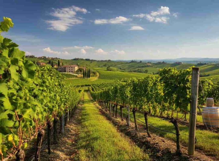 Scopri i segreti degli spumanti metodo classico di Cà Rovere nei Colli Berici