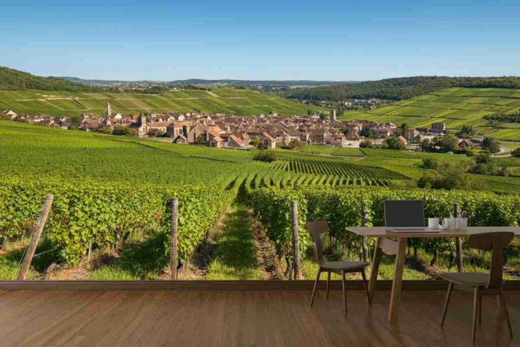 Scopri i vini unici di Mestre Père et Fils a Santenay