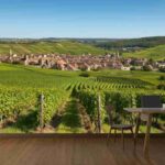 Scopri i vini unici di Mestre Père et Fils a Santenay