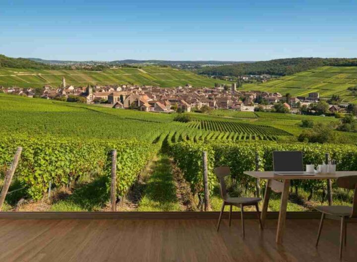 Scopri i vini unici di Mestre Père et Fils a Santenay