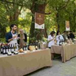 Scopri il meglio del Made in Italy: un viaggio di degustazione a Roma