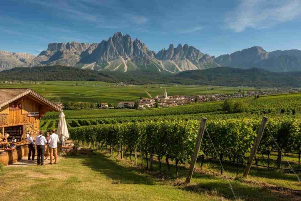 Scopri il meglio dell'enogastronomia altoatesina a Vino in Festa 2013