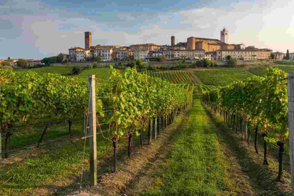 Scopri le eccellenze della doc Merlara con Montagnana su Linea Verde