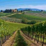 Scopri le nuove annate di Chianti Classico e Riserva al Castello di Querceto
