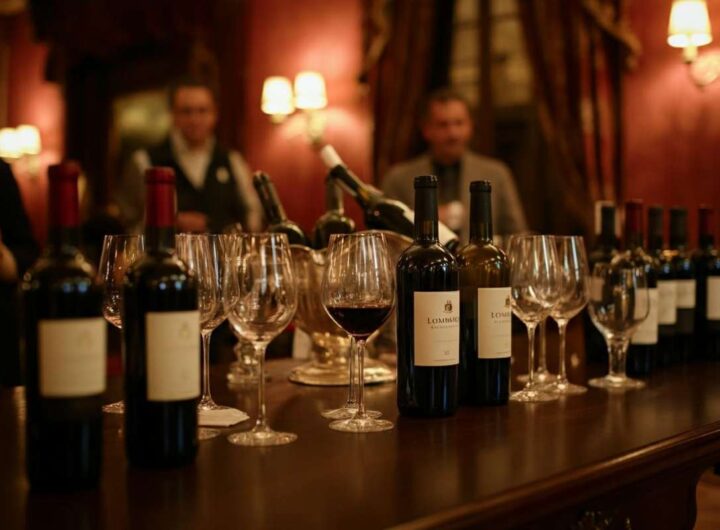 Scopri le perle del vino lombardo: la guida VINIPLUS® 2013 di AIS Lombardia