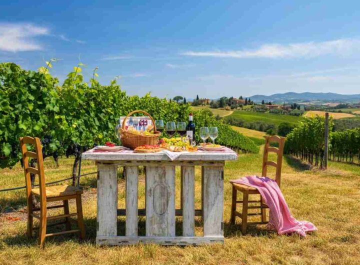 Scopri l'estate a Caiarossa: wine cocktail, laboratori e relax tra i filari