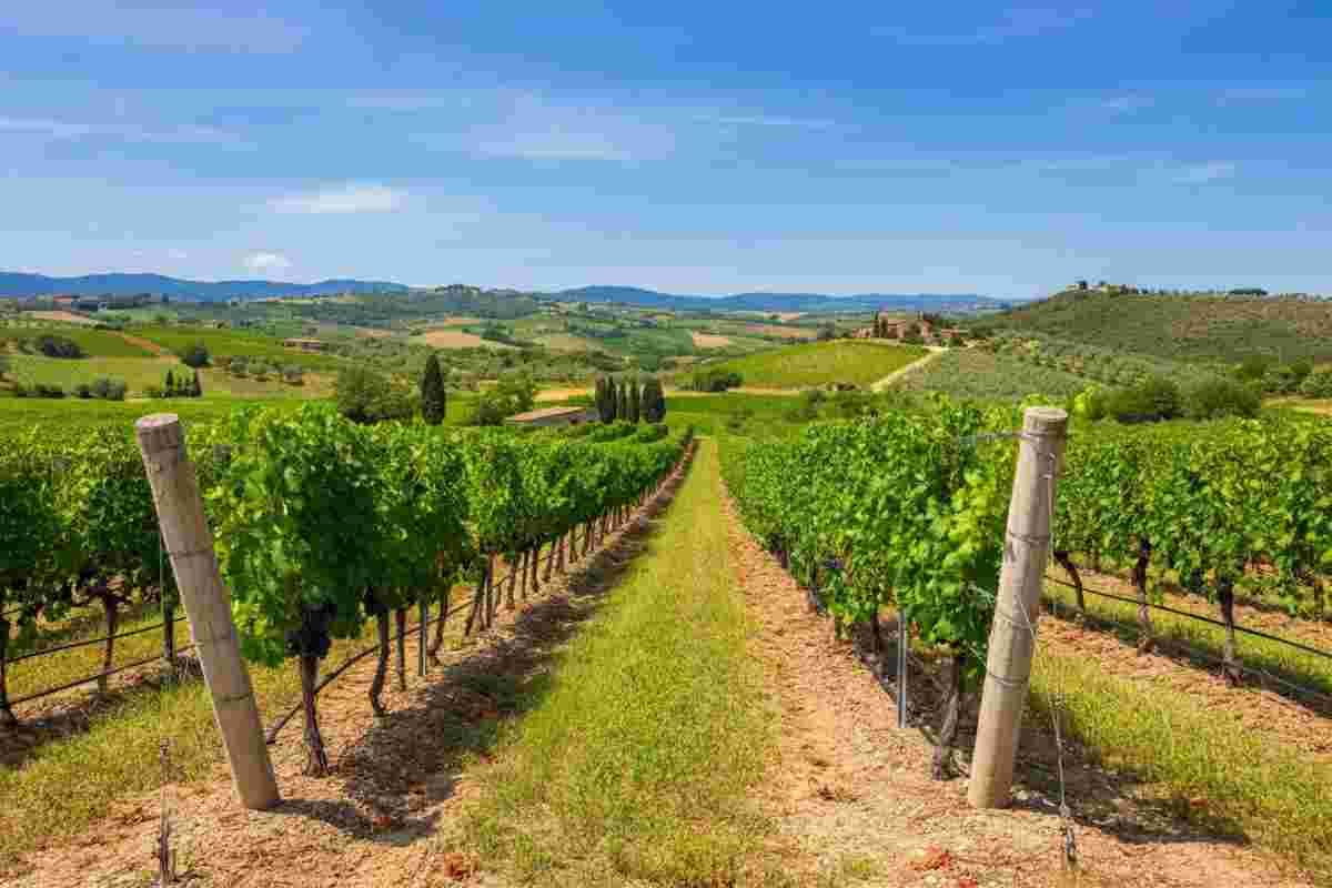 Sequerciani conquista un nuovo prestigioso premio da VinNatur