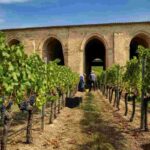 Soave: una vendemmia straordinaria che conquista premi e riconoscimenti