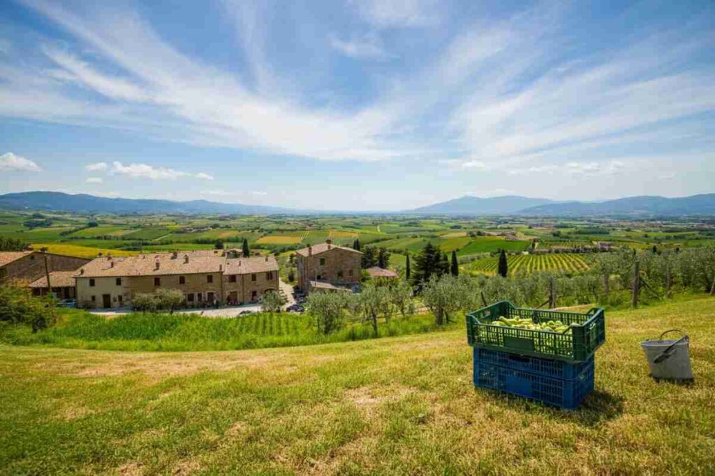 Spighe Verdi 2025: 90 Comuni premiati per la loro virtuosità ambientale