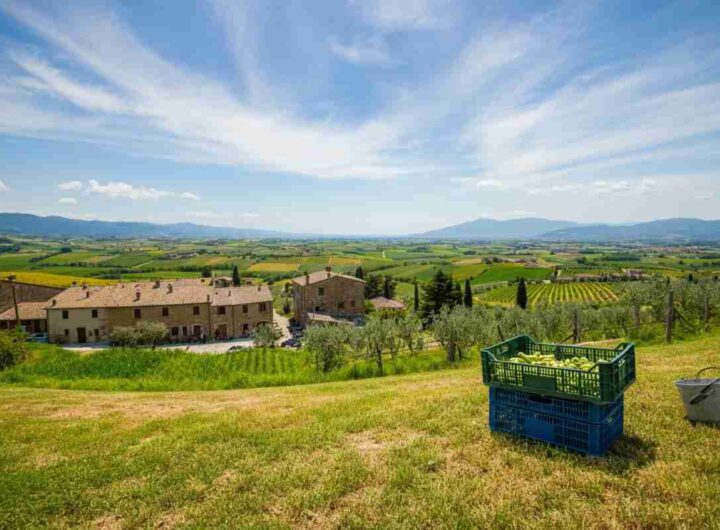 Spighe Verdi 2025: 90 Comuni premiati per la loro virtuosità ambientale
