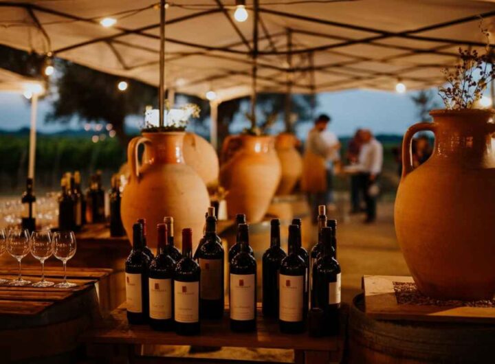 Terracotta e vino: un connubio tra tradizione e innovazione