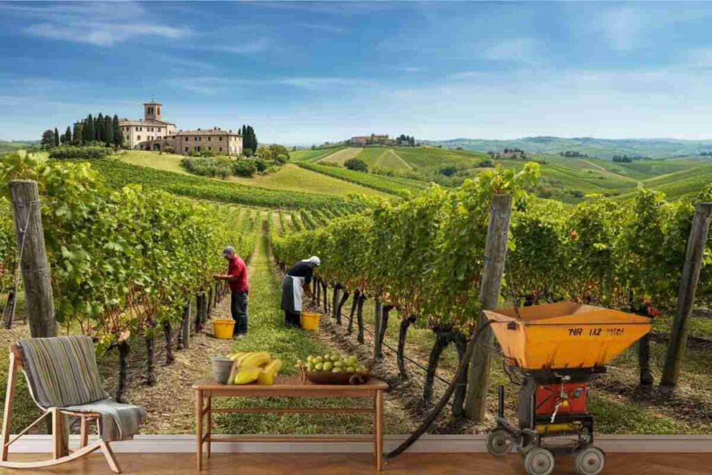 UIV sollecita una revisione tempestiva del Testo Unico del Vino per un futuro migliore